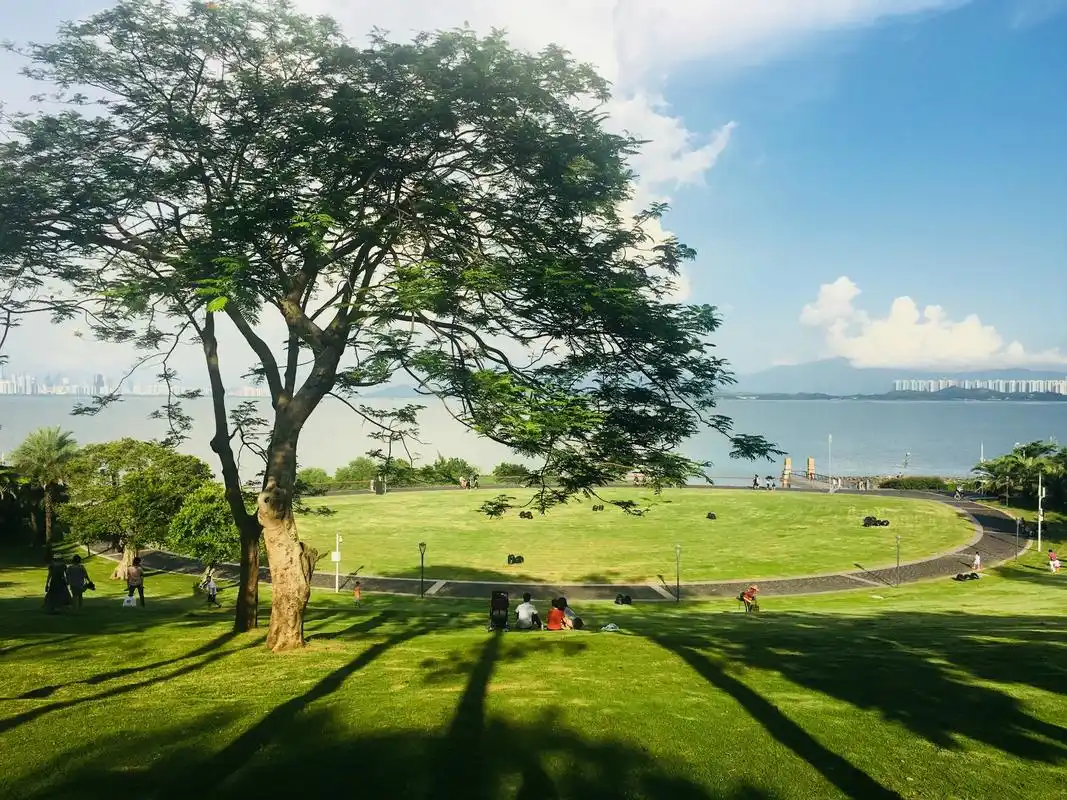 打卡新姿势!深圳好玩的景点排名前十名,快来pick你的心仪之地!