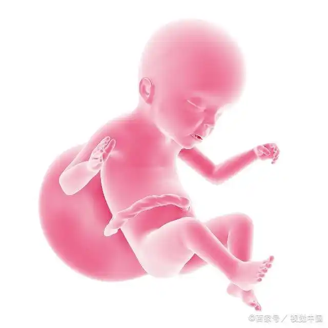 怀孕20周,抓住胎教的黄金期,促进胎儿大脑神经发育