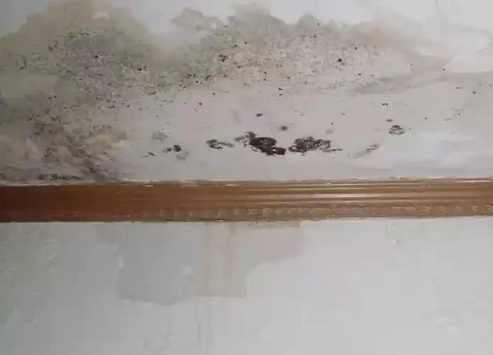 不能防微漏的防漏水产品就等于假货