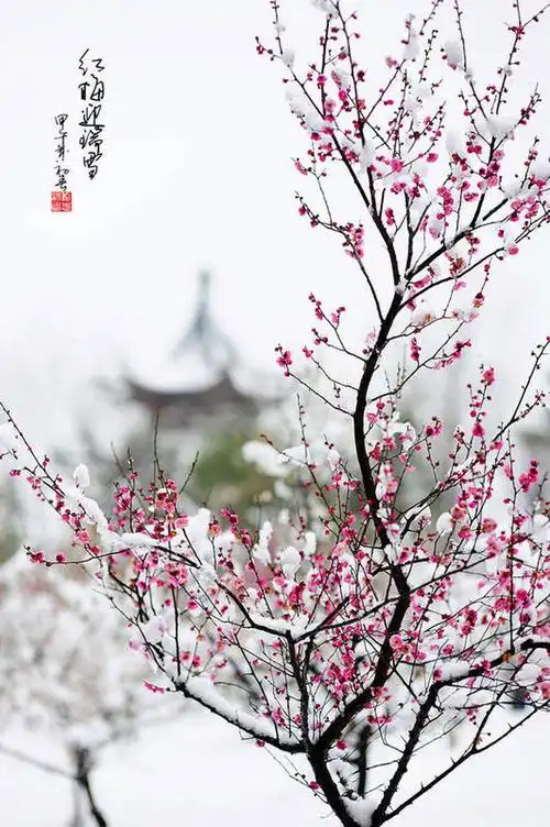 我愿雨碎江南笙歌浅浅,你却醉酒当歌剑挑长…-堆糖,美好生活研究所