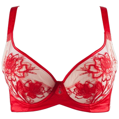 依之妮内衣性感蕾丝女士春夏4扣2020全罩薄杯大胸显小文胸507b2