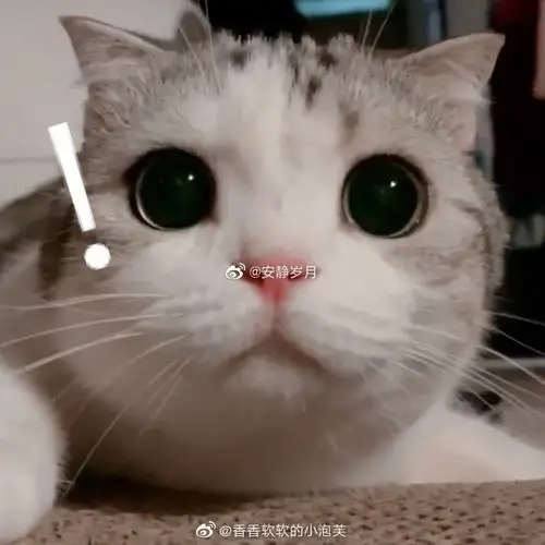 表情包太好看了这个配色绝了大眼睛你躲在这里干嘛呀哈哈哈表情包哈哈