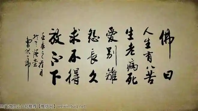 一个六磅八磅重的婴儿,通过狭窄的生门,这痛苦已非言语所可形容