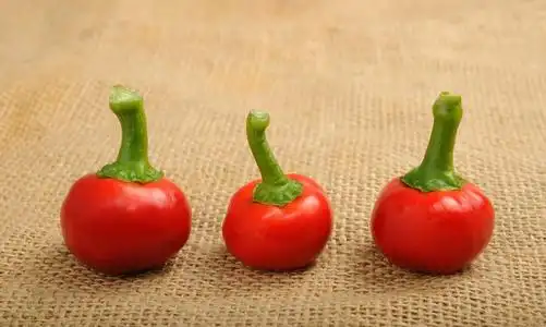 辣椒樱桃照片