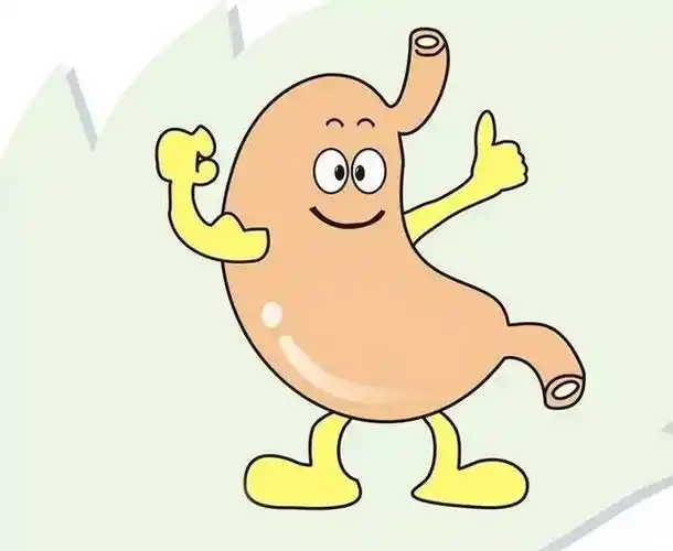 天奇生命肽指导使用方法消化系统类病症