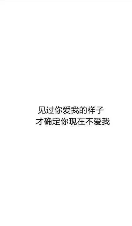 他不爱我