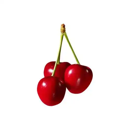 头像简单干净 白底,好看的白底头像