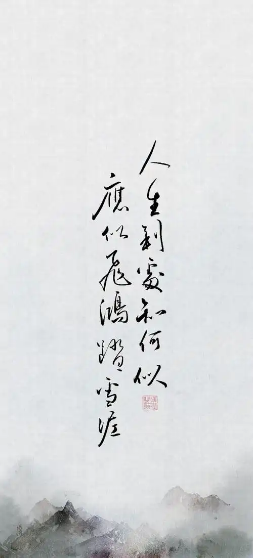 人生到处知何似,应似飞鸿踏雪泥 ——苏轼 背景画师@不过灯花瘦 微博