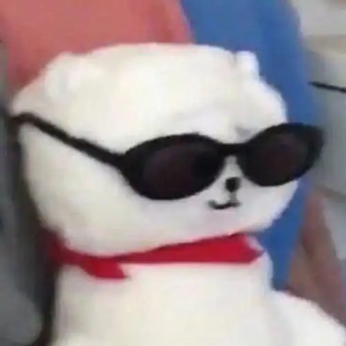 猫咪戴墨镜猫咪墨镜表情