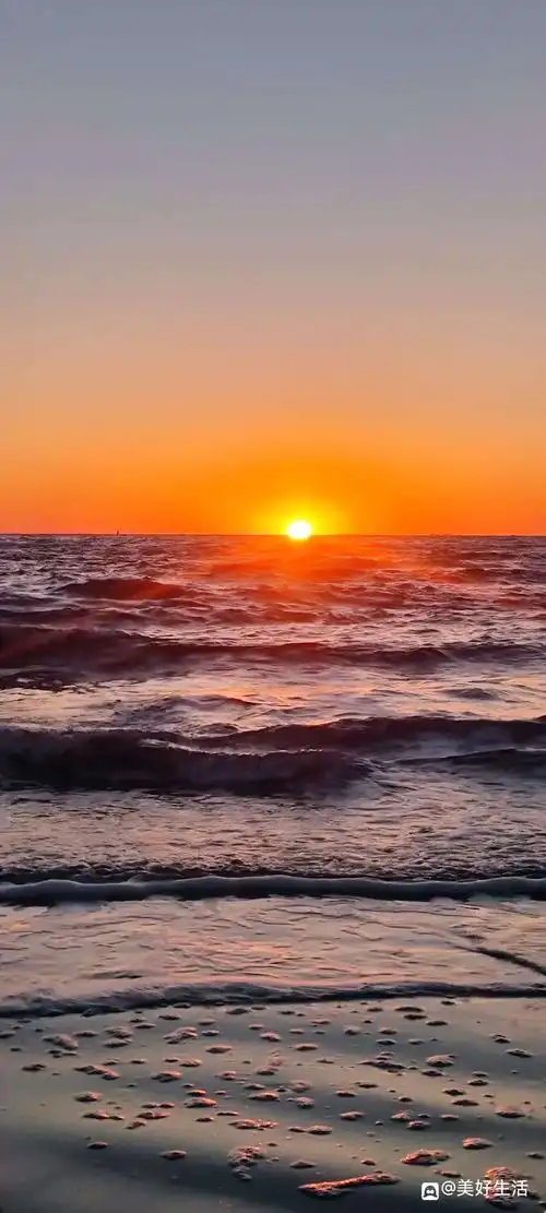 你爆料我奖励东方红太阳升金沙滩日出红通通
