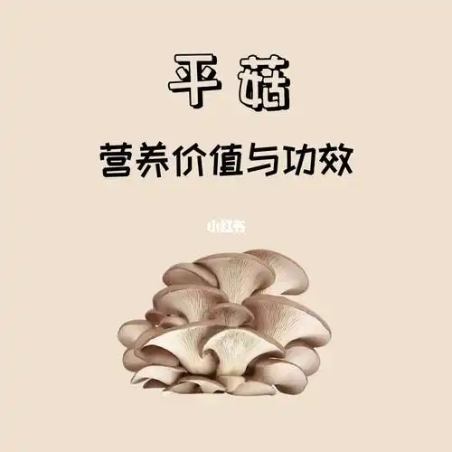 100种蔬菜的营养平菇966066