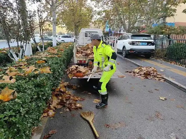 昨日,一场秋雨打落黄叶,道路上遍地金黄.