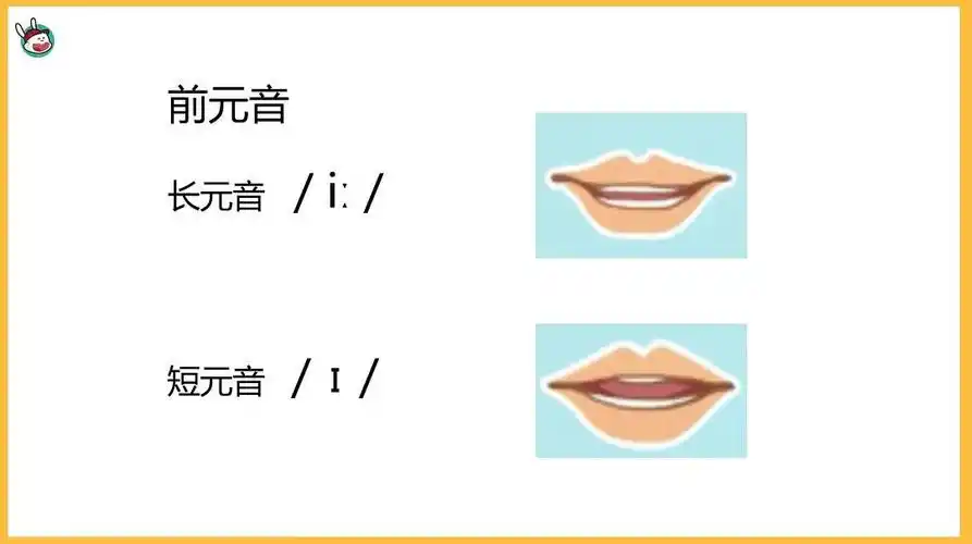 要使用舌头前面部位,舌尖全部要向硬腭抬起来,抵住下齿,口型偏平状态