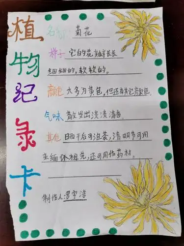 记三八班制作"植物记录卡"