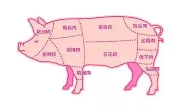 前槽肉是哪个部位(识货的专挑这6个部位)