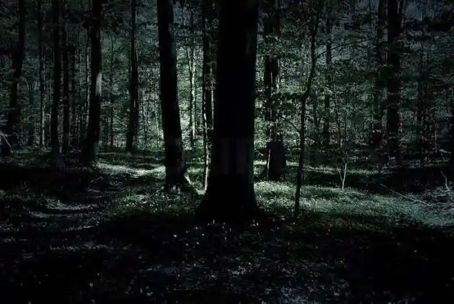 恐怖,阴森,杀人藏尸?