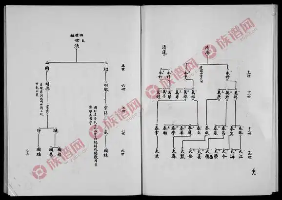杨氏家谱 _ 四知堂 [2卷] - 杨氏堂号字辈查阅 - 族谱网