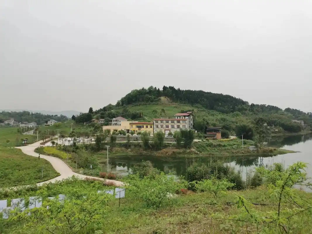 在乡村振兴的路上——请看围龙镇龙湖村的变化吧!