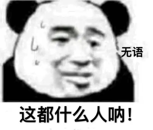 无语 这都什么人呐(熊猫头表情包)