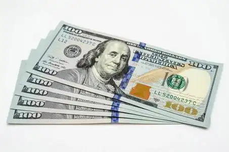 美元课程五百美元照片