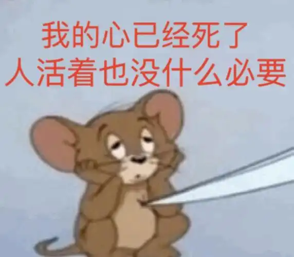 我发四骗你我是小老鼠表情包 - 表情图