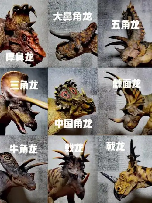 九只鸟臀目角龙类