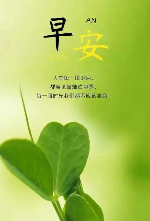 加油句子励志语录,加油励志的话语句子(正能量加油励志句子)