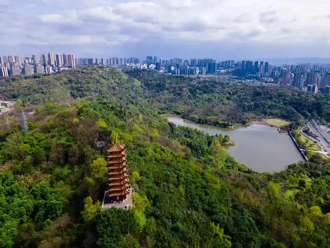 重庆照母山森林公园