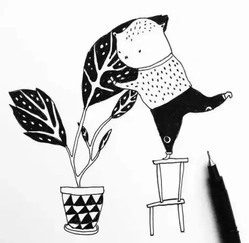 简单也是一种美--黑白线描