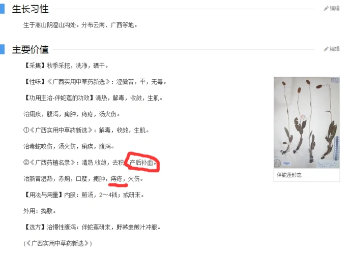 除了清热解毒,伴蛇莲还是有其他的作用的 敢问老白你当初中的是啥毒