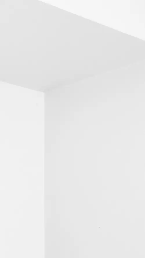 纯白简约素雅静物创意图片手机壁纸