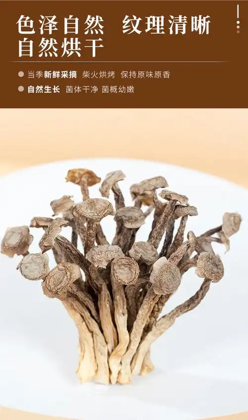 鹿茸菇鹿茸菌干货500g福建古田土特产新鲜食用菌煲汤食材干货菇类