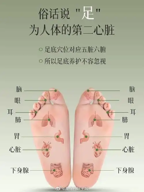 工作室真的全员都超爱养生!