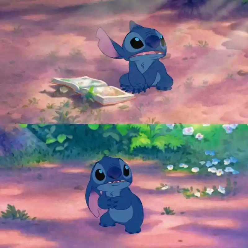 再来对比一下史迪仔的图片,真是越看越像,大家觉得像吗?