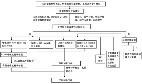 n末端b型利钠肽原,sao2:血氧饱和度,lvef:左心室射血分数,ci:心脏指数