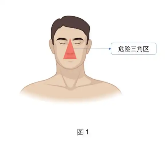 皮肤科医生提醒:有颅内感染风险!"危险三角区"的粉刺别乱挤