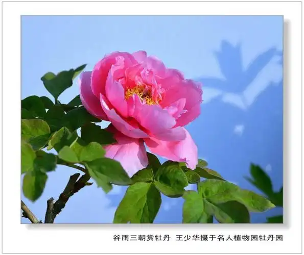 著名摄影师王少华新作