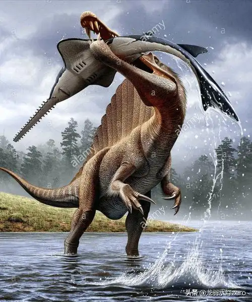 棘龙科下面分为两个科,分别是棘龙亚科和重爪龙亚科.