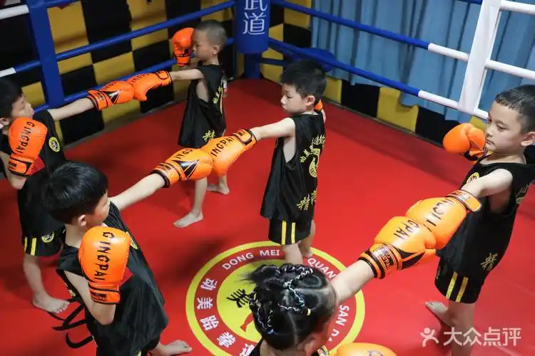 【动美少儿散打跆拳道格斗馆团购】-大众点评网团购太原站