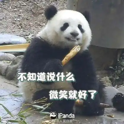 周一专用熊猫表情包