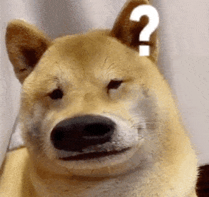 汪星人表情包第18期 | "我最大,谁也别想拦着我上位!