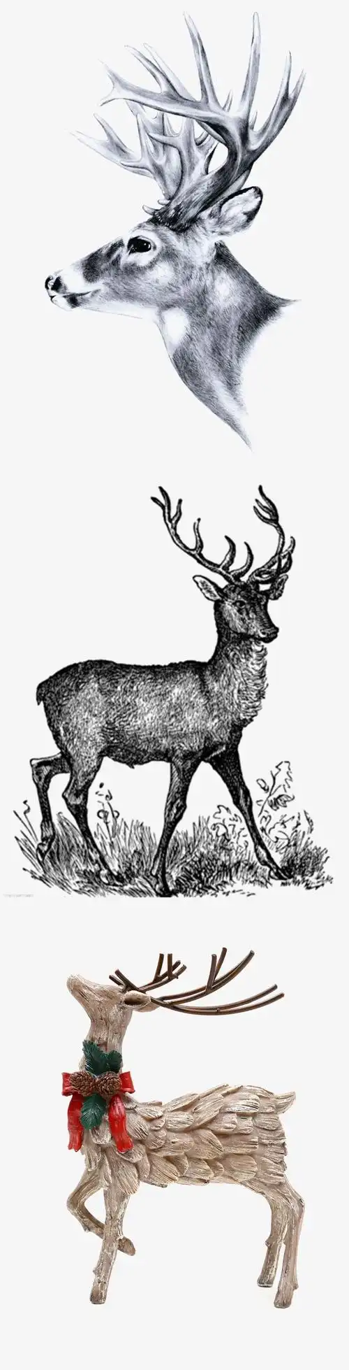 手绘鹿素材