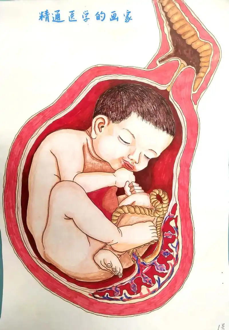 最美医学生#医学与人体解剖绘画 - 抖音