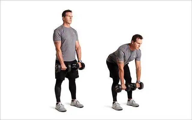 9个男女在家哑铃全身肌肉训练增肌减脂练出冻龄紧致曲线身材