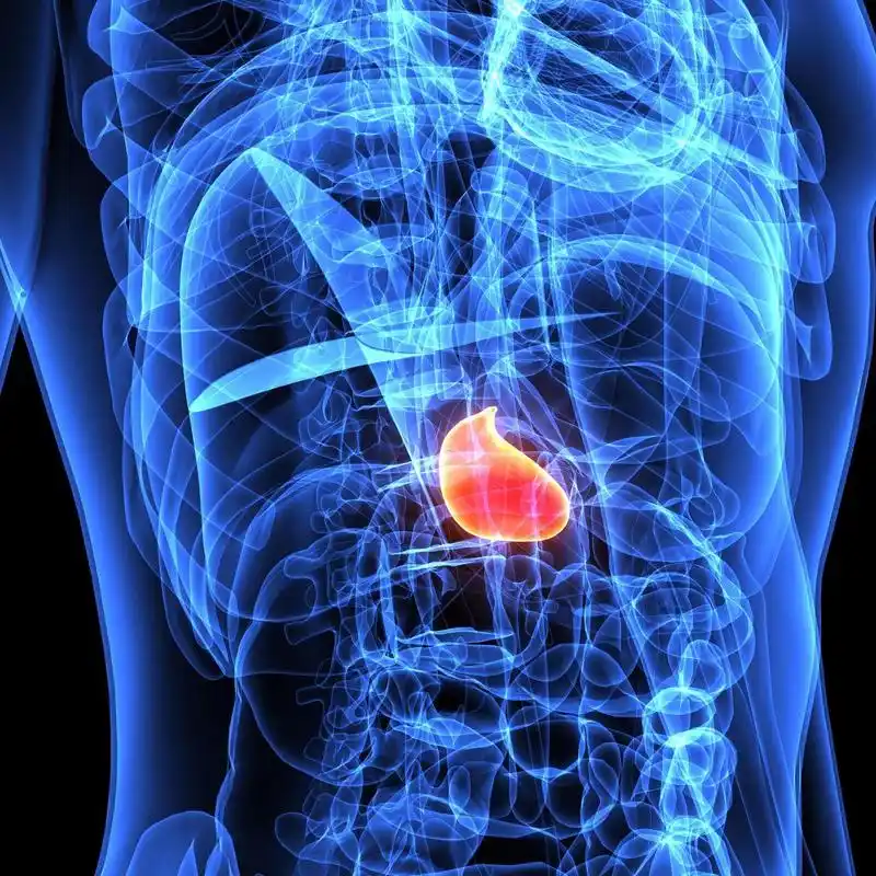 你知道胆囊对人体有多么重要吗?