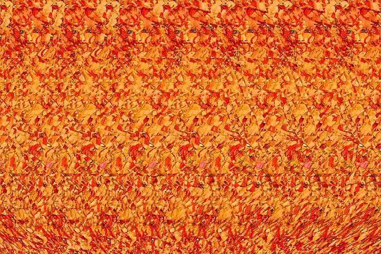 三维立体图片欣赏(难倒许多人的三维立体图你看出了几个?