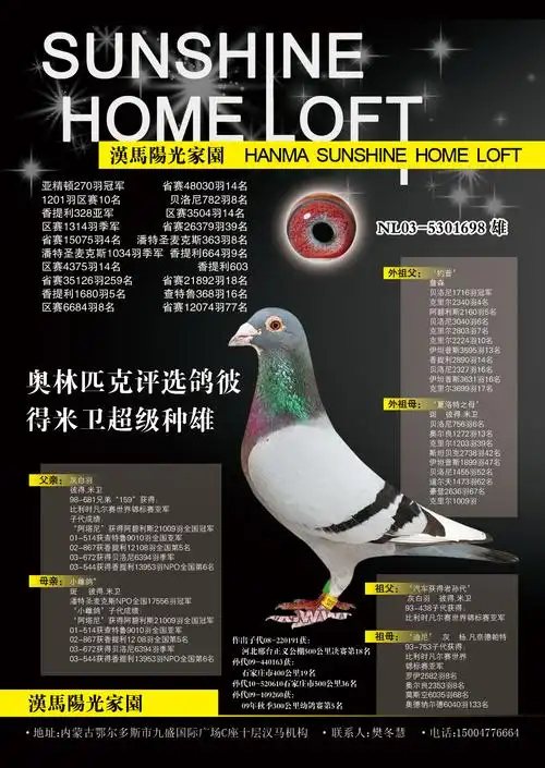 彼得米为超级种雄_汉马阳光家园_ ag188.com爱鸽商城_中国信鸽信息网