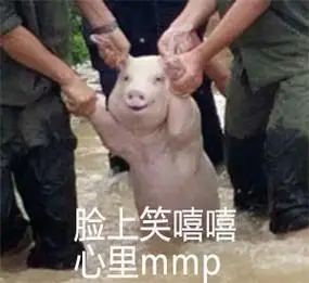 脸上笑嘻嘻 心里 mmp - 一只被救的猪,做成表情包更好笑了哈哈哈_猪