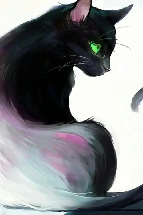艺术画,黑猫,回头看,绿色的眼睛,书