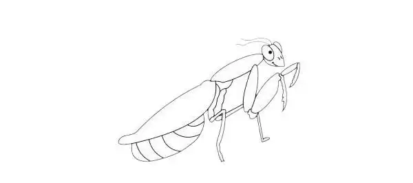 卡通螳螂简笔画简单画法步骤教程及图片大全